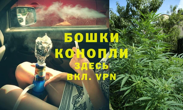 ПСИЛОЦИБИНОВЫЕ ГРИБЫ Лагань